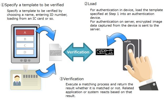 Verify first. Authentication method. Верификация подписи биометрия. Automatic personal verification System идентификация по подписи. Identification and verification.